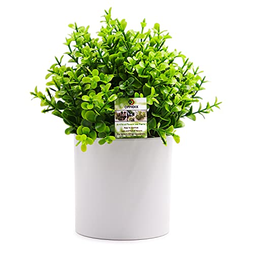 OFFIDIX Potted Artificial Plant,Mini Artifical Flower with Plastic White Cylindrical Pots Desk Plant Topiary Shrubs Fake Plants for Office Desk Coffee Table Bathroom Bedroom Home Decorations