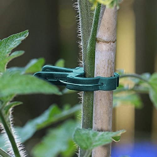 KINGLAKE 100 pz Clip per Piante da Giardino Clip di