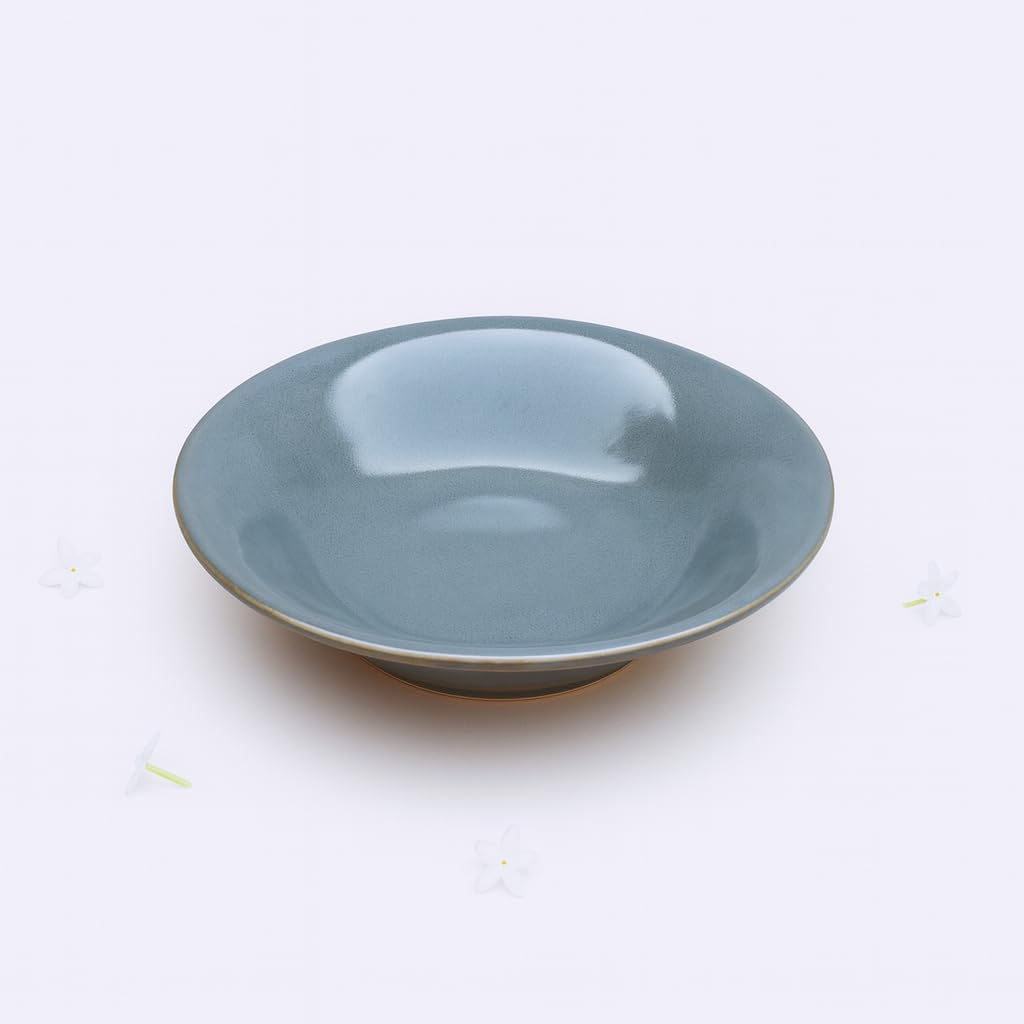 RNS GLOBAL Durable Soup Plates - Round Deep Plate Set for Soups, Stews, and Hot Dishes Design 4 2