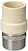 Homewerks Schedule 40 1/2 in. Slip x 1/2 in. Dia. MPT CPVC Adapter