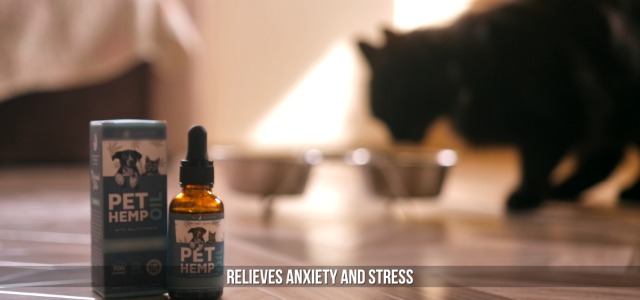 Supreme Hemp Oil for Dogs: Enhancing Your Dog's Health and Happiness