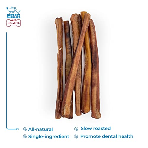 Image of GigaBite Bully Sticks for Dogs All Natural Beef Pizzle Dog Chews, Odor & Rawhide Free Dog Treats, Long Lasting High Protein Chews Digestible Dental Dog Treat - Sticks (Premium 12 inch), Pack of 6