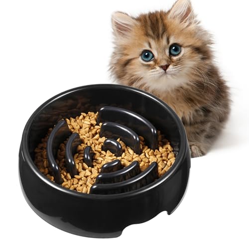 X[tB[_[hbO{E - ݖh~̐H,~ H̋l܂h~ C^NeButB[fBO {E  q Lp