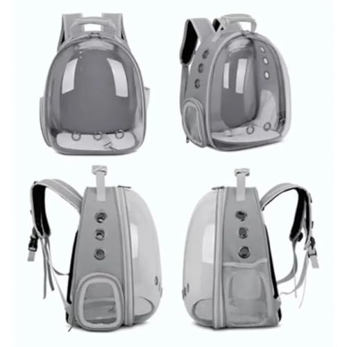 Mochila De Transporte Para Pets Cachorros E Gatos Com Ventilação Transparente E Visão Panorâmica Bol
