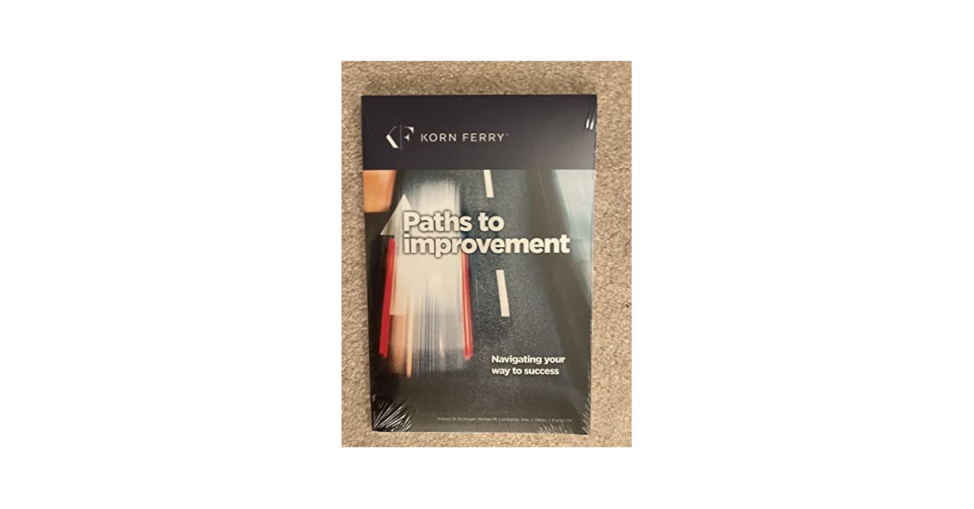 Paths to Improvement Navigating your Way to Success: Robert