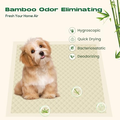 Image of Bamboo Small Puppy Pads Pee Pads for Dogs 22 inchx22 inch 100 Count | Bamboo Training Pads Deodorizing Leakproof Quick Drying Dog Pee Pads Super Absorbent Disposable Pee Pads for Dogs Puppies