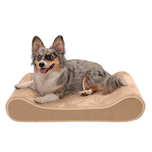 Furhaven Pet Dog Bed - Cooling Gel Foam Minky Plush and Velvet Ergonomic Luxe Lounger Cradle Mattress Contour Pet Bed with Removable Cover for Dogs and Cats, Camel, Medium