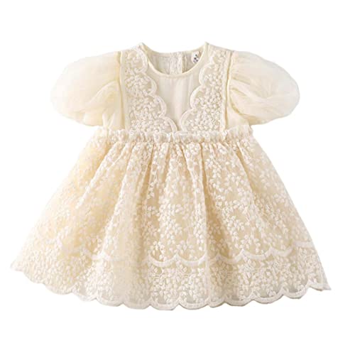 [SLINX] ̎q xr[ s[X p[X   LbY c Pl  t [X  k `[ ԕ tH[}  o oYj v[g Q399 (120, s[XEx[W)