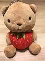 純情ロマンチカ 鈴木さん ぬいぐるみ 純情ロマンチカ20巻刊行記念☆ぬいぐるみ鈴木さんJr.＆チャーム