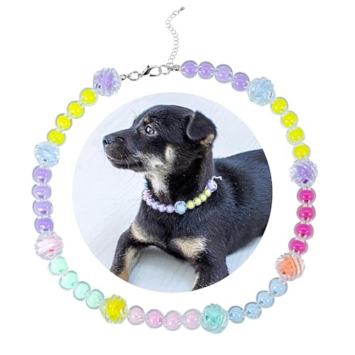 SM4BED ̎փp[lbNXAJtȃr[Yƈ炵LfB[{[A^p̒߉\ȃybgWG[AXL 17C`