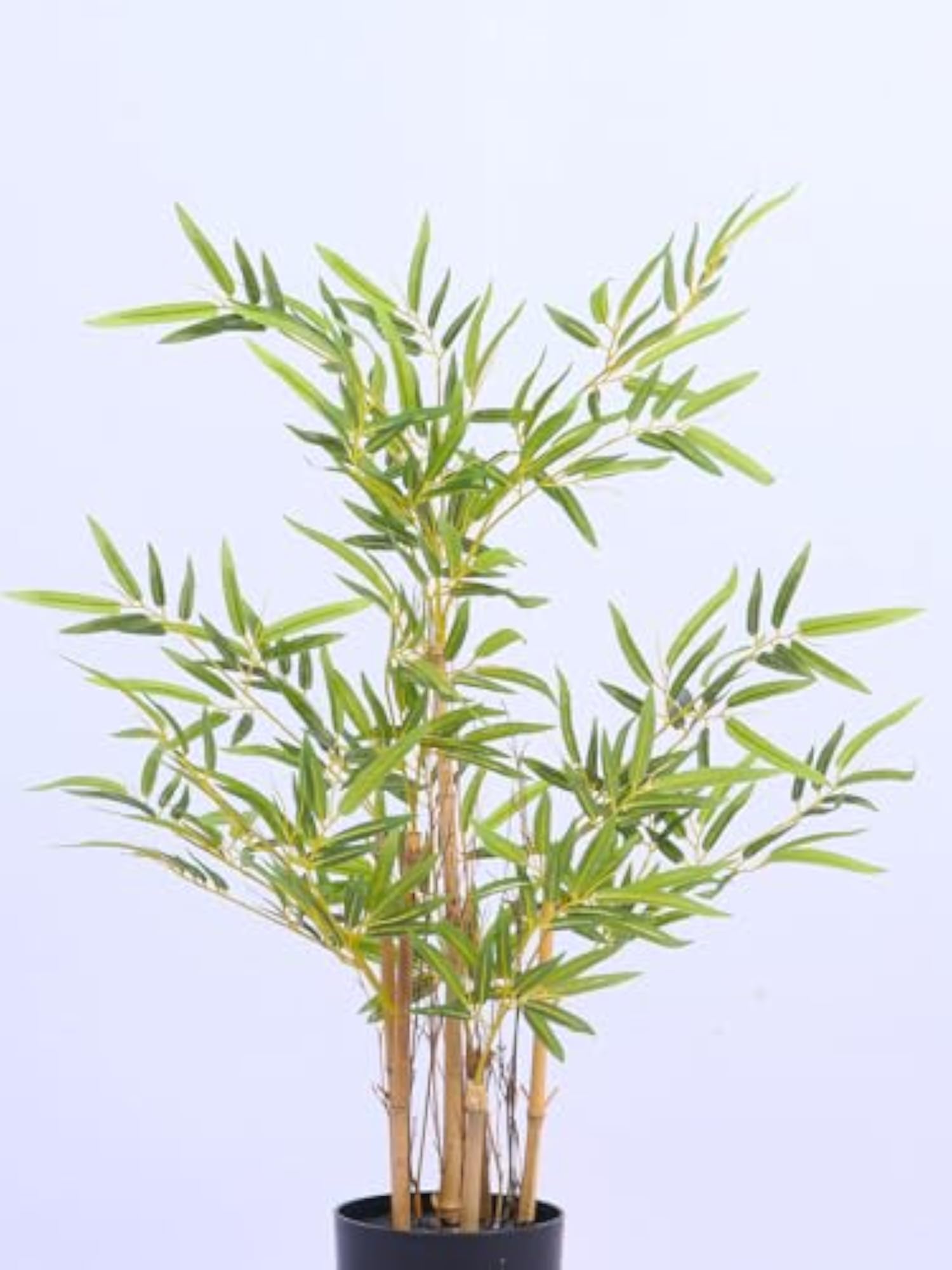 Artificial Real Touch Bamboo Plant with Plastic Pot