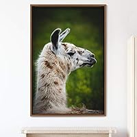 Framed Canvas Wall Art Llama Animals Camels Expressive Farmhouse/Country Living Room Multicolor Photography - 16x24 inches