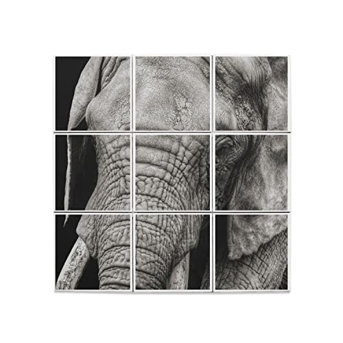 Carreaux céramique éléphant pour créer une ambiance safari dans le salon