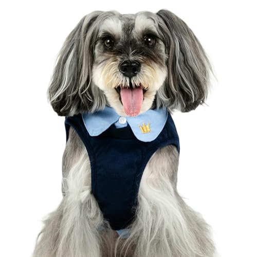 ybgp_CX  n[lX  ݕtxXgn[lX  ^ yQl S V[Y[ ~j`AViEU[ (`8kg) ybgp_CXcX72XܓWJ2025/10/1_z