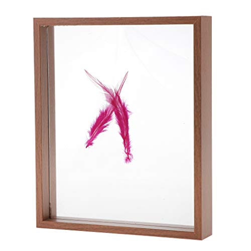 Preisvergleich Produktbild Baoblaze Retro Hölzerner Fotorahmen, Doppelseitiger Glasausstellungsrahmen, Bilderrahmen Geschenke Für Pflanzenexemplar Insekt 10 Zoll - Dunkelbraun, 21,5 x 26 x 4 cm