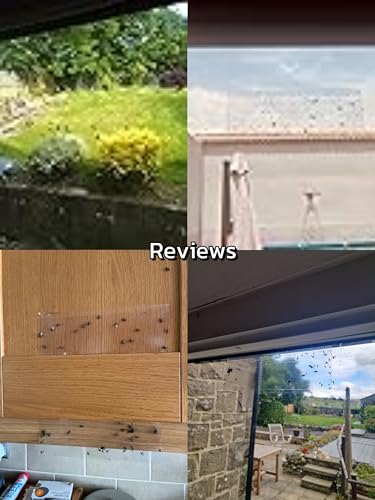 Fullsexy 30 Stück Fenster Fliegenfallen Insekten - Fallen, Fruchtfliegenfalle für Küche, Fensteraufkleber zum Einfangen von Fliegen MEHRWEG