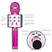 KIDWILL Wireless Bluetooth Karaoke Microphone for Kids, 5-in-1 Portable Handheld Karaoke Mic Speaker Player Recorder with Adjustable Remix FM Radio for Kids Girls Boys Teens Birthday-Hot Pink