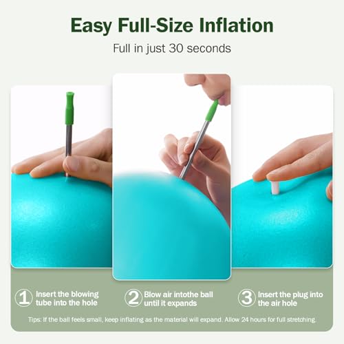 Image of Slim Panda Pilates Ball, 9 Inch Small Exercise Ball, Anti Burst Mini Yoga Ball for Stability, Workout, Barre, Core Strength, Physical Therapy, Balance, Stretching