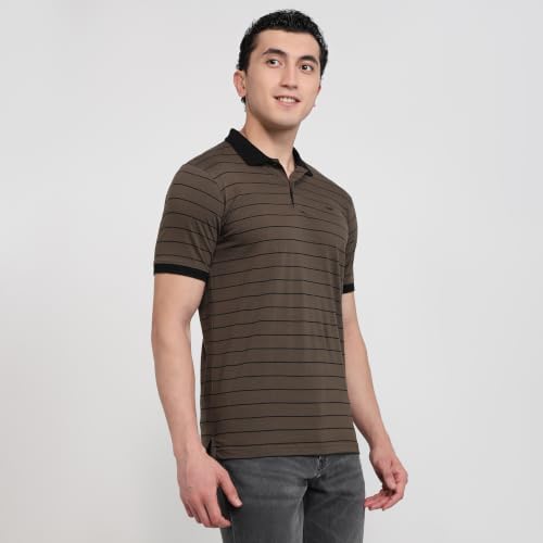 Image of Park Avenue Men Slim Fit Stripe Pattern Pure Cotton Polo Neck Half Sleeve Casual T-Shirt