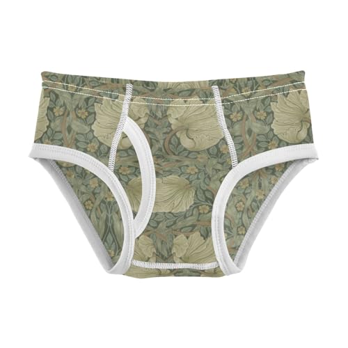 Boys' Exclusive Briefs Toddler Underwear 95% Combed Cotton Boxerbriefs 2T Floral Pattern 59