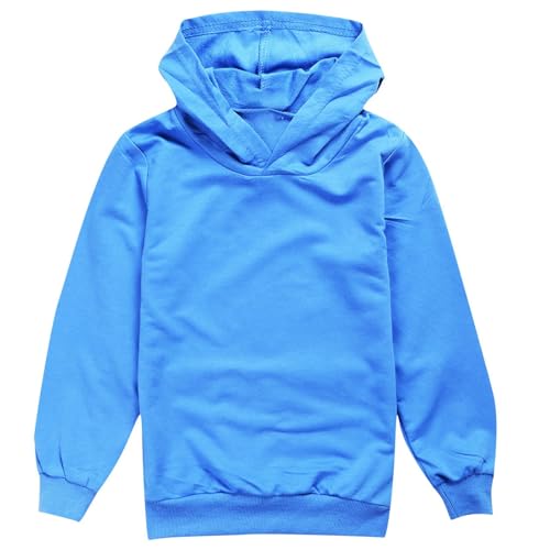Sweatshirts For Teen Girls Long Sleeve Casual Hoodies 2025 Oversized Hooded Sweatshirts Cute Fall Pullover Top Pockets4