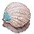 SEVENBEES Sea Shells Trinket Box Seashell Figurine Collectible Seashells Decorating Girls Jewelry Boxes Gifts Ring Holder