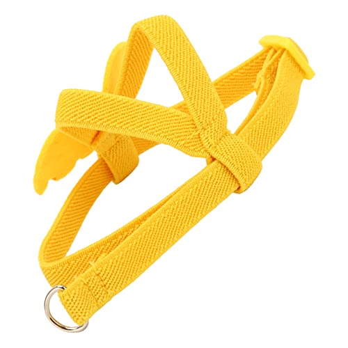 Image of Bird Harness Leash Yellow Bird Harness and Leash Pet Outdoor Flying Rope Training Supplies for Parrots Pigeons Birds Yellow