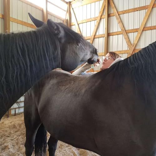 『Ep 4-Do You Truly Feel Compensated For Your Efforts?』のカバーアート