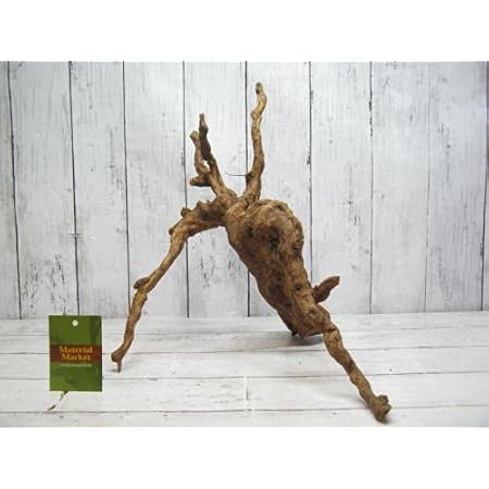 Amazon 天然枝流木 アク抜き処理済 Uws スマトラウッド L 70 ノーブランド品 木 通販