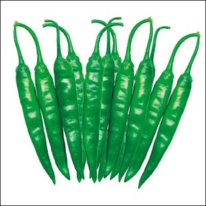 ���h�q�P��g