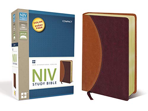 NIV Study Bible, Compact, Imitation Leather, Tan/Burgundy, Red Letter Edition (Small Print)