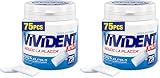 Vivident Xylit Chewing Gum, Gomma da Masticare, Barattolo, Gusto Spearmint, con Xilitolo, Senza Zucchero, Confezione da 150 Confetti