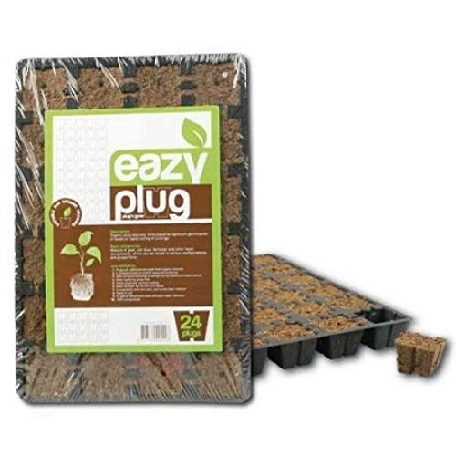 Taca Easy Plug 12 kostek