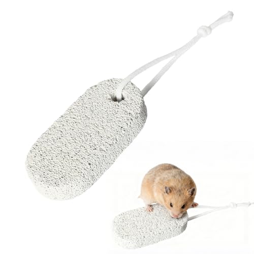 6 Pièces Pierre à Ronger Minérale Jouet Lapin Hamster Perroquet Cochon d'inde Des Jouets à Mâcher Adaptés aux Dents des Rongeurs pour Lapin Hamster...