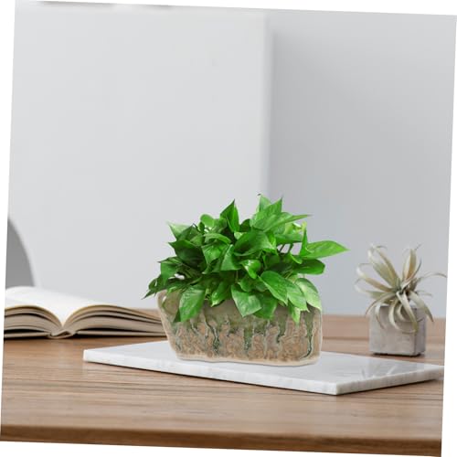 Mini pots céramique pour plantes grasses résistant à l'humidité de la maison - 6