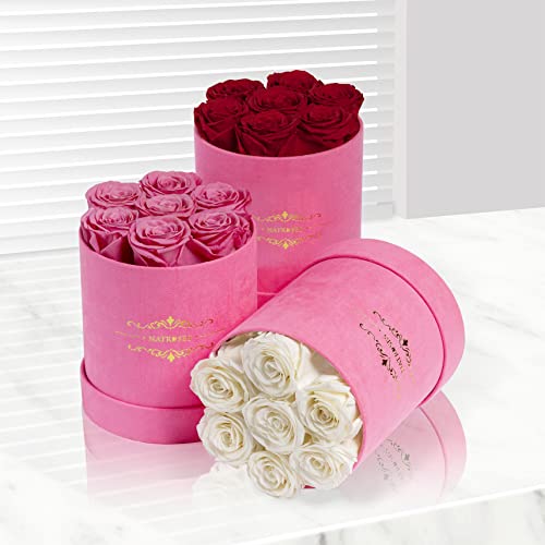 Natroses Preserved Roses In A Round Box, 100% Real Roses That Last Up To 3 Years, Flowers For Delivery Prime, Valentines Day Rose For Her, Mothers Day Roses, Anniversary (Red) #TOP3