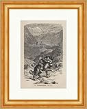  Biller Antik St Bernhardshund Suisse Gravure sur bois journal de chasse 0187 encadré