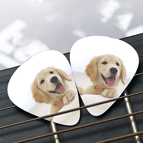Pack de 12 médiators Golden Retriever Puppies médiators pour guitare électrique guitare acoustique guitares diverses - Les Beatles, Paul McCartney, John Lennon, RIngo Starr, George Harrison Pack de 12 médiators Golden Retriever Puppies médiators pour guitare électrique guitare acoustique guitares diverses – Image 7
