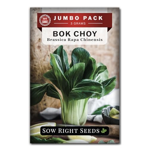 Sow Right Seeds - Bulk Bok Choy Seeds for Planting - Pak Choi or Chinese Cabbage - 3 Grams, 1200 Seeds - Non-GMO Heirloom Jumbo Pack Variety to Grow Outdoors in Vegetable Garden or Hydroponics Indoors