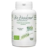 Equisetum arvense Bio Zinnkraut (Ackerschachtelhalm) - 190mg- 200 Kapseln