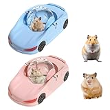 Rubu22a Voiture de Sport, Balle de Hamster, Balle d'exercice de Hamster Transparente, Boule de Course, Petits Animaux, Jouet pour Hamsters et Souris, Jouet pour Rongeurs (Ø12cm)