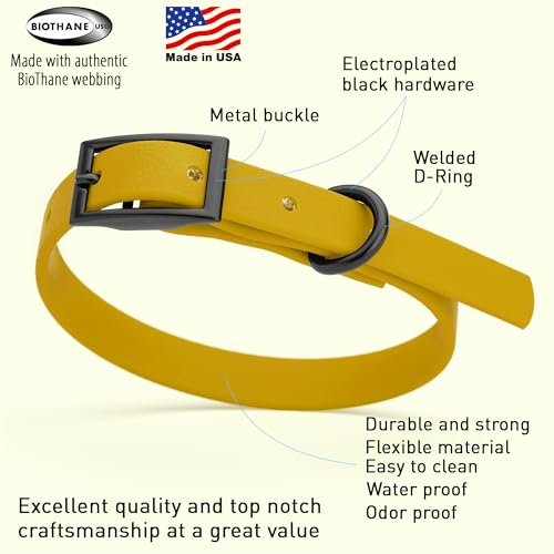 Image of Dogline Biothane Waterproof Dog Collar Strong Coated Nylon Webbing with Black Hardware Odor- Proof for Easy Care Easy to Clean High Performance Fits Small Medium or Large Dogs, Treasure Gold