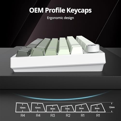 Image of PBT Gradient Green Keycaps, Shine Through Cherry Profile Keycaps, Double Shot Custom Minimalist Style for MX Switched Mechanical Keyboard