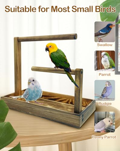 Image of 8 Pcs Small Bird Training Stand Set Portable Tabletop Birds Perch Desktop Platform Training Perch with Disposable Pads Parakeet Play Gyms Exercise for Budgie Conure Parrot Cockatiel