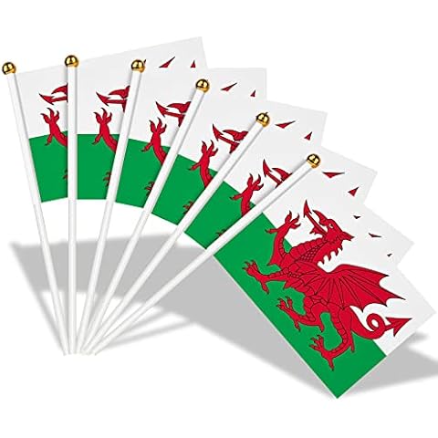Wales Hand Held Small Flags - AhfuLife 15/30/100 Pcs Welsh Mini Flags on Sticks with 30cm White Pole for Celebrations St David's Day World Cup 2022 Football Events Decoration (14 x 21 cm, 15 Pcs) Cover