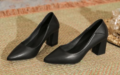 LizFoYa Women Stylish Closed Pointed Toe Pumps Suit Wear Office Office Pumps Shoes Block Chunky Heels2