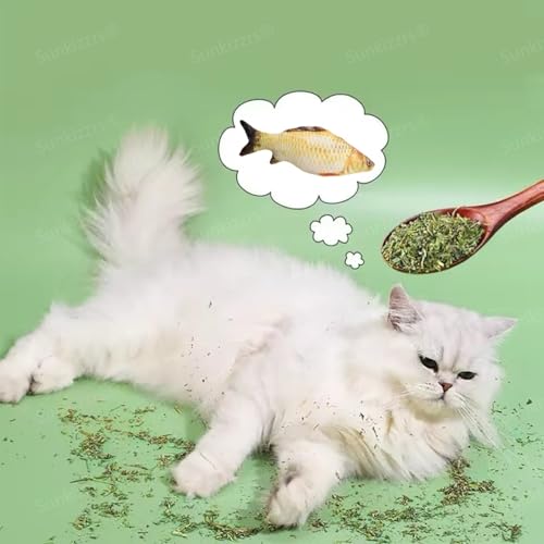 Image of Sunkizzrs Natural & Organic Catnip Jar (160ml) for Cats & Kitten (Non-Addictive & Safe) - Catmint Leaves Used on Toys and Scratchpads - Stimulate Playful Behaviour for Cats & Kittens
