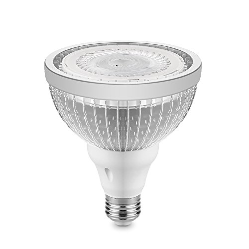 Lemonbest Super Bright LED Bulb 20W PAR38 COB LED Light Bulb 1600lm Spotlight