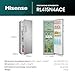 Hisense RL415N4ACE Tall Larder Fridge 322 Litres, Total No Frost, Stainless Steel, 1720 x 595 x 590 (HxWxD) (mm)