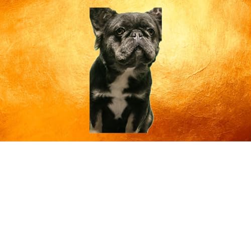 Ep. 1 Boogers Step Boyfriend (feat. A BOOGERMAN)